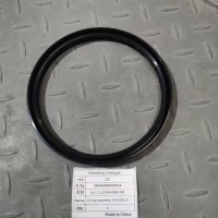 SPHG0000000054油封總成3104-05D-300