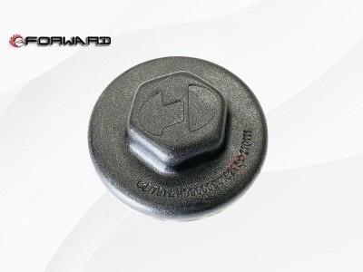 HD90009410285 轮毂帽,Wheel hub cap,济南向前汽车配件有限公司