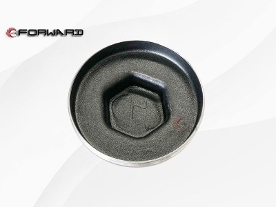 HD90009410285 轮毂帽,Wheel hub cap,济南向前汽车配件有限公司