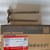 C5547797  Z14排氣門