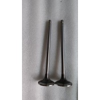 C5547799 Z14進氣門