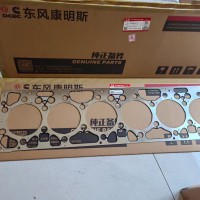 C55377688 Z14汽缸墊