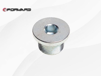 ZC2586000284 内六角磁性螺塞,Hexagonal magnetic screw cap,济南向前汽车配件有限公司