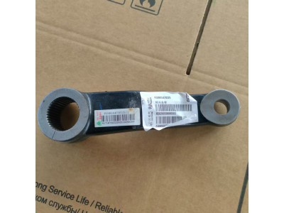 FG9816470325   转向垂臂