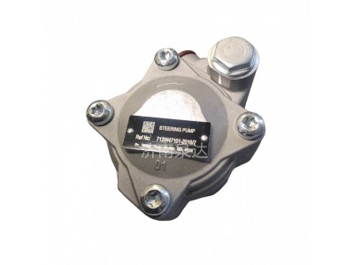 712W47101-2016,转向叶片泵（阜新德尔）,济南泉达汽配有限公司