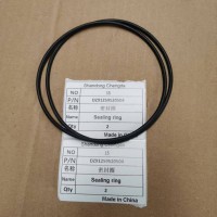 DZ91259520504密封圈