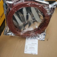 DZ91259520512平衡轴轴密封圈