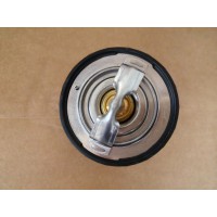 1009981217     内置节温器