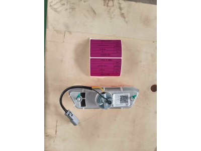 60148623   侧转向灯