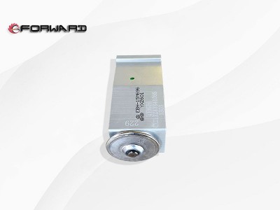 DZ13241841065 膨胀阀,Expanding valve,济南向前汽车配件有限公司