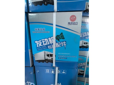 V G1500060051水泵总成
