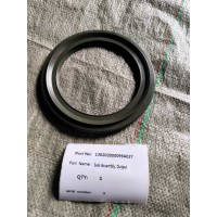 130202000099A027，29552703变速箱后油封