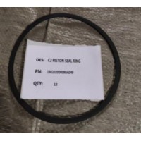 130202000099A049，29546159C2活塞密封环