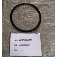 130202000099A050，29546160C1活塞密封环