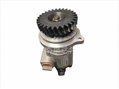 QC25/19-WP12N-LG,转向助力泵,济南泉达汽配有限公司