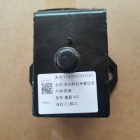 FZ020059000001   发动机前悬置胶垫