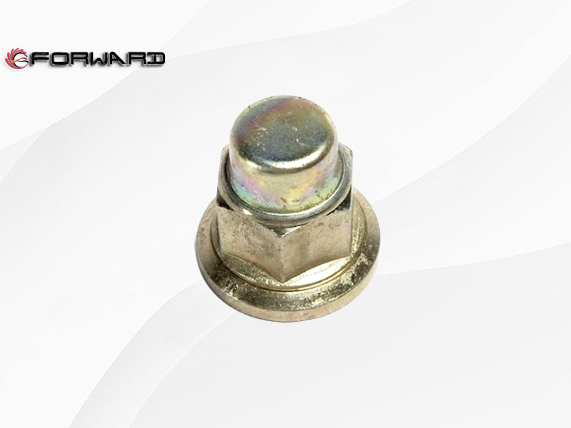 SHACMAN HANDE HD7.3T盘式 行走盘式前桥系统 DZ9112340503Y04 车轮螺母 XQ046636/XQ046636 车轮螺母