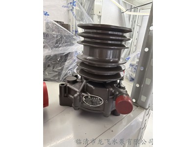 玉柴YC4F水泵F31D1-1307100C适用东风江淮金杯金龙客车校车等
