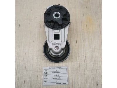 VG2600060313张紧轮