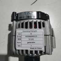 VG1246090017-1发电机