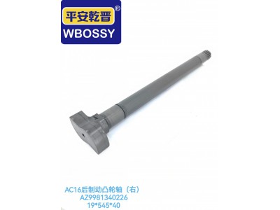 AC16后制动凸轮轴（右）19*545*40
