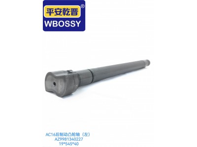 AC16后制动凸轮轴（左）19*545*40