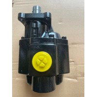 P04H041616：100mlrev 齿轮泵：适用于 重汽8x4 自卸车， （八齿后进后出）