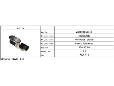 VG2600060313,自动涨紧轮VG2600060313,济南航诺汽配有限公司