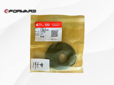 C5667118 O型密封圈 XQ046895,O-ring,济南向前汽车配件有限公司