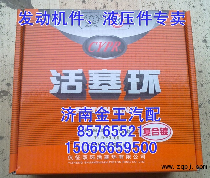 供应仪征欧二活塞环61560030044/5/6图2