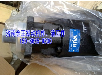 海沃泵 齿轮油泵 齿轮泵 举升泵14571220C图1