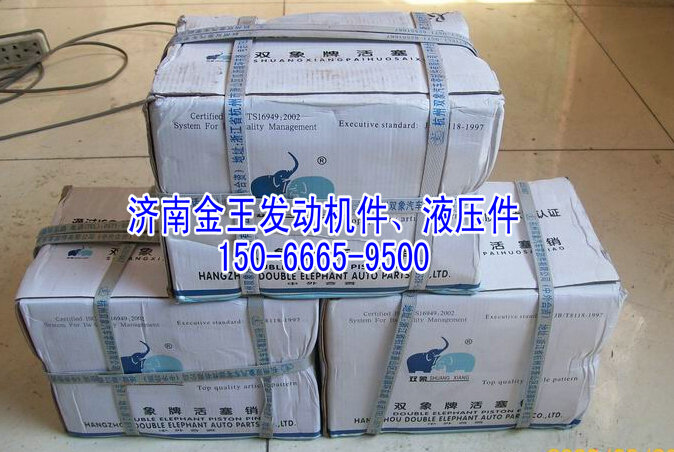 双象活塞销VG1560030013图1