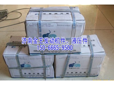 双象活塞销VG1560030013图1