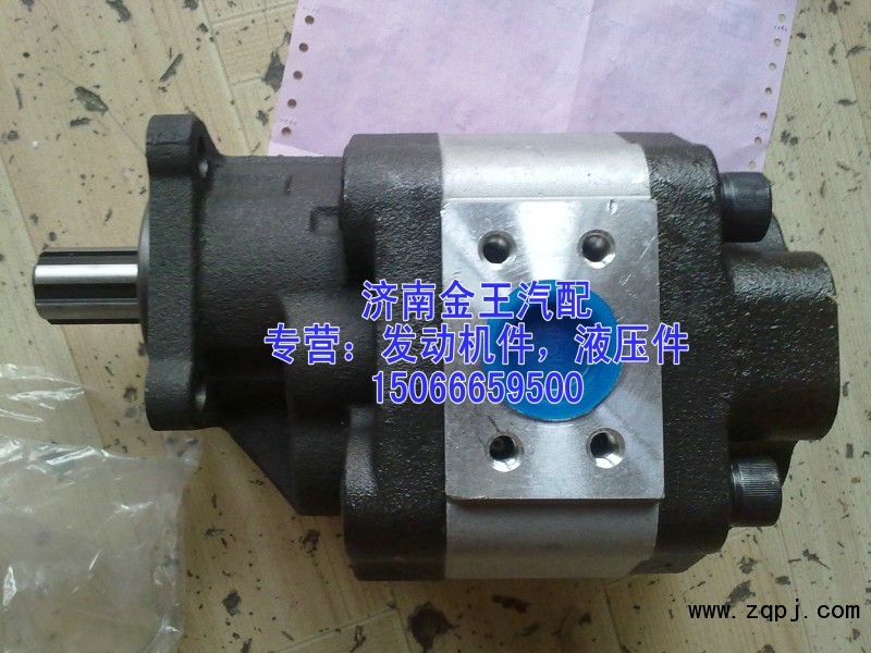 供应齿轮油泵，齿轮泵，液压泵CBHBD-F100H8，H6/CBHBD-F100H8，H6