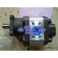供应齿轮油泵，齿轮泵，液压泵CBHBD-F100H8，H6