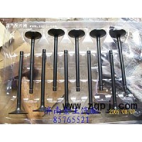 进，排气门VG1540050014，VG1540050015