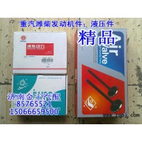 发动机进气门/发动机排气门61560050022/61560050027