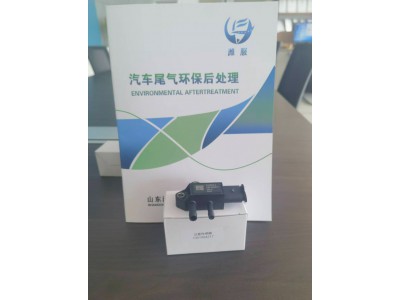1001064217   压差传感器