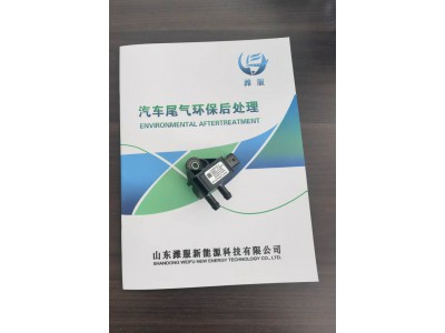 WG1034121136   压差传感器