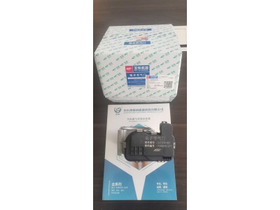 玉柴   电子节气门   2JT076-021