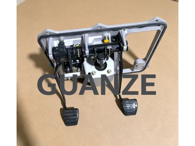 WG9725360020E  组合踏板总成