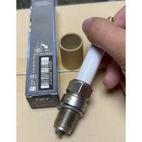 原装进口 博世BOSCH发电机组火花塞0242356507-7A0