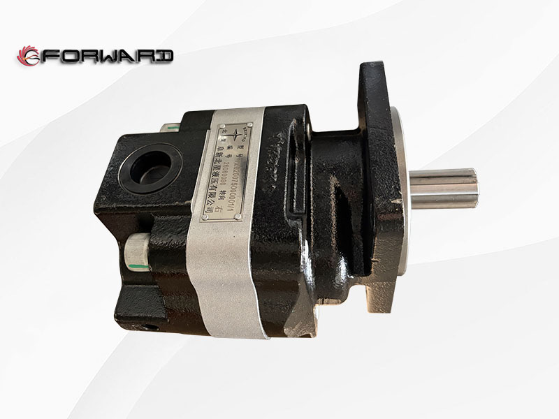 TG53717300200 齿轮泵总成 XQ046973,Gear pump assembly,济南向前汽车配件有限公司
