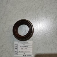D230100100105前桥右油封