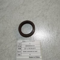 1003036GD150进气凸轮轴油封
