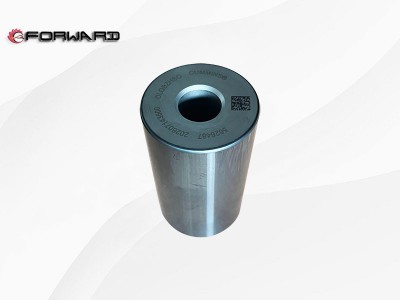 SHACMAN Xi'an Cummins M10 动力发动机运动系统 5626487 活塞销