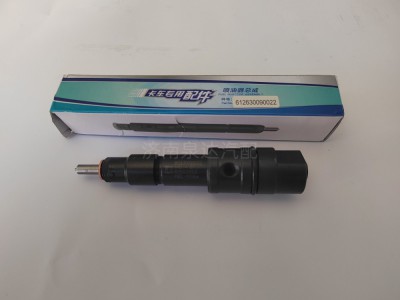 612630090022,喷油器,济南泉达汽配有限公司