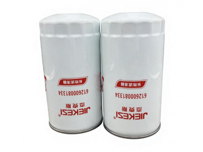 高品质发动机燃油滤清器 612600081334 1000442956 R010036 BF9815 CX0815 FF5622 FF5420济南景彤汽配