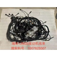 WEICHAI12133 发动机线束1007625507 潍柴