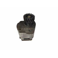 QC32/13-WPPY中联重科动力转向油泵方向助力泵齿轮泵液压泵图2